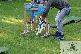 Welpen 13.09.2025 43